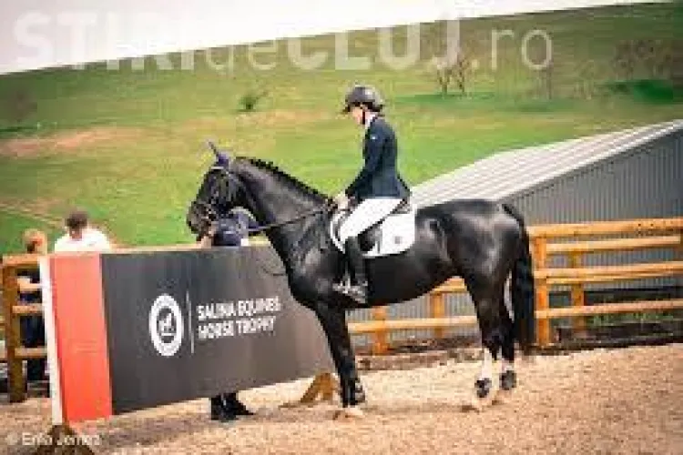 S-au pus în vânzare biletele pentru spectacolele Salina Equines Horse Trophy. Vezi de unde le poți cumpăra