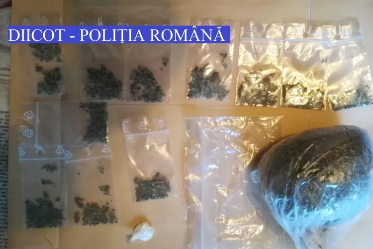 Percheziții în Cluj și Sibiu la o rețea de traficanți de droguri. ”Capii” rețelei sunt interlopi cunoscuți pentru acte de violență extremă FOTO
