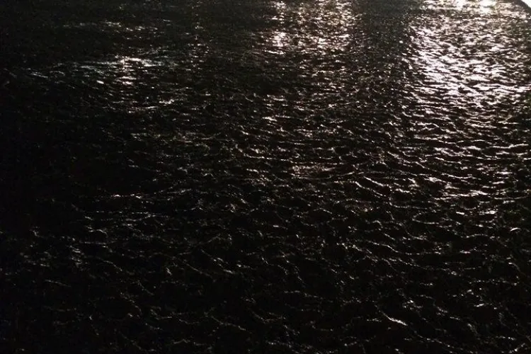 Electric Castle 2018: E răzbunarea sufletelor de porci - FOTO