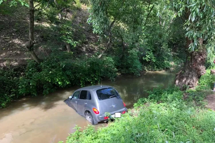 Parcarea anului la Cluj: ”Să își mute mașina. Deranjează rațele” - FOTO