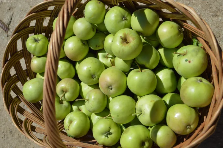 Care mere sunt mai sănătoase, cele verzi sau cele roșii