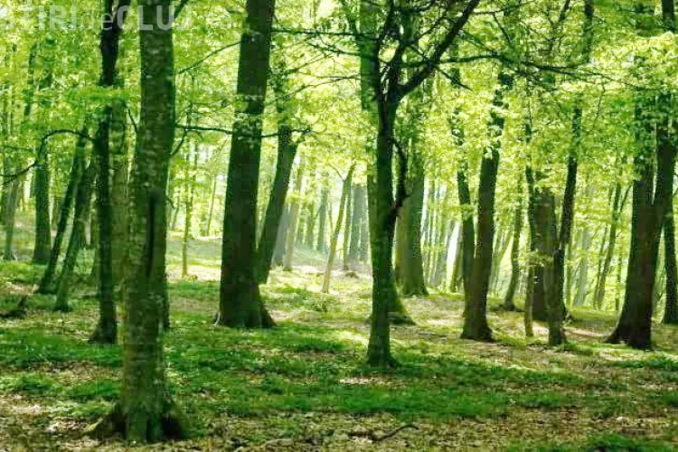 Acțiune de salvare a unor turiști, la Cluj. S-au rătăcit pe munte