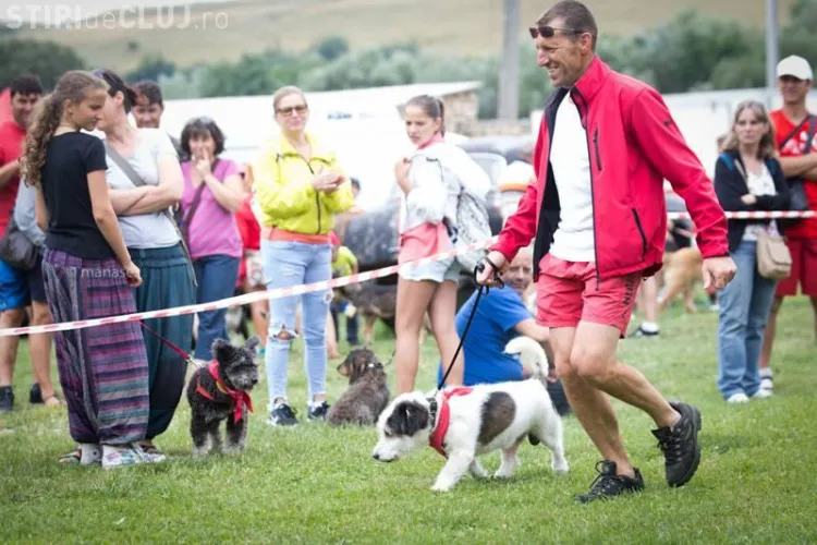 Expoziție pentru câini din rasa comună, la Vlaha