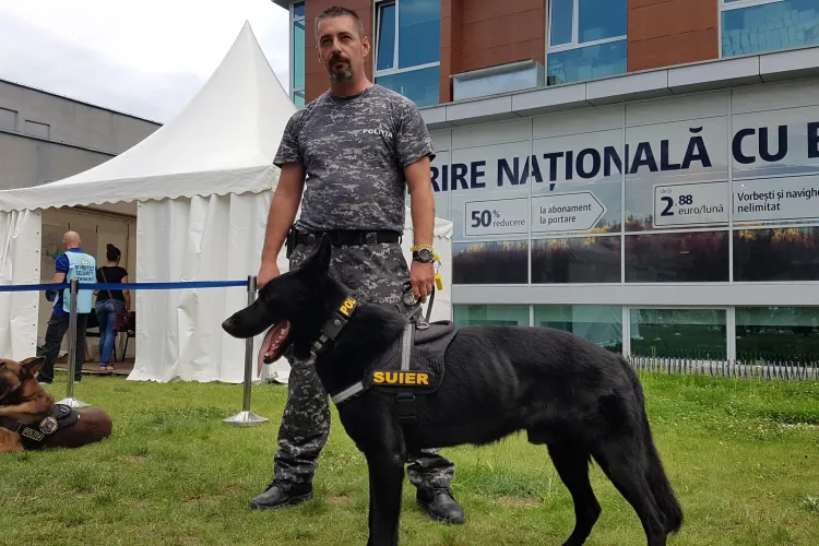 Povestea lui Șuier, câinele cu miros ”fin”... foarte ”fin”, de la Untold - VIDEO