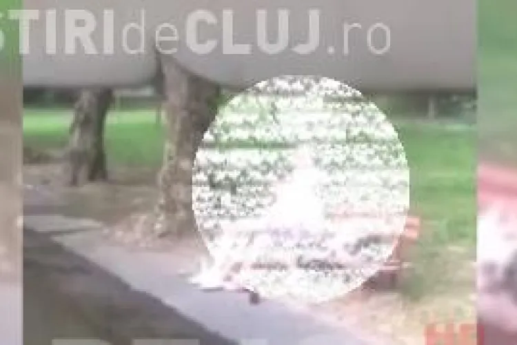 Dosar penal în cazul cuplului care făcea sex oral în parc la Dej. Polițiștii îi caută pe ”iubăreți”