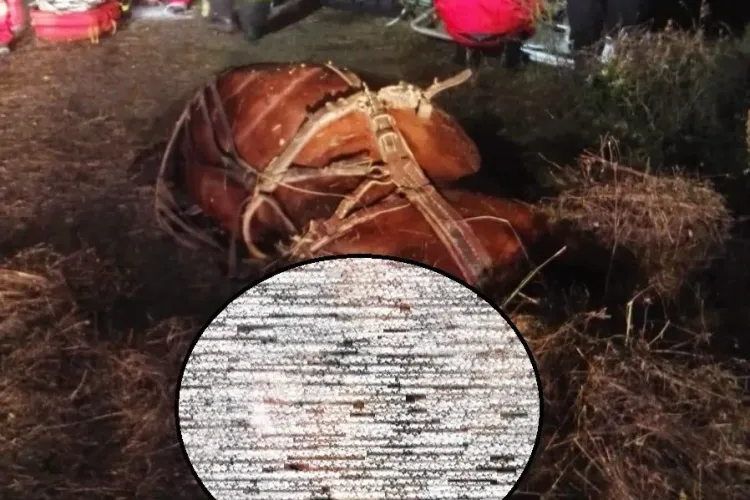 Accident mortal în Chinteni! Căruțaș care circula pe contrasens lovit mortal - FOTO