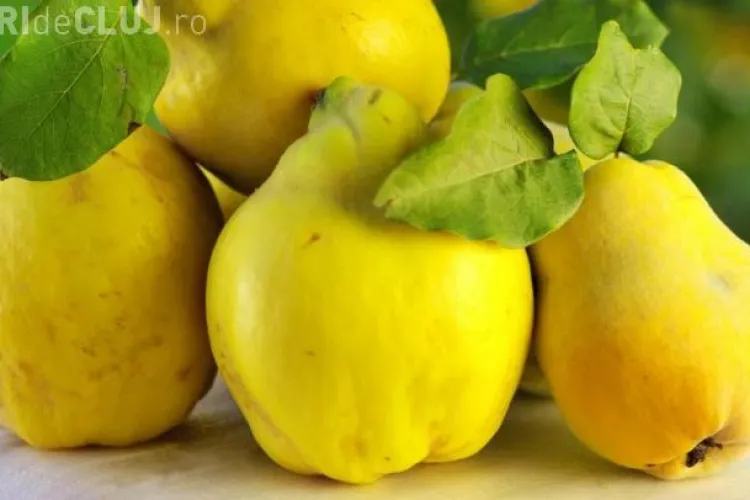 Beneficii ale gutuilor, fructul toamnei târzii