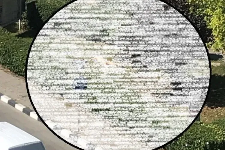 Tânără amendată de jandarmi. Făcea plajă complet DEZBRĂCATĂ în fața unei instituții FOTO