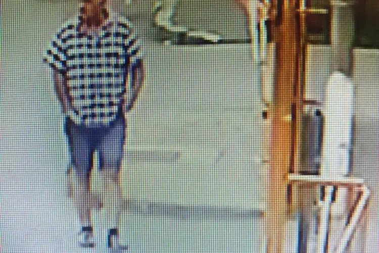 Cluj: 500 de EURO pentru prinderea unor hoți de câini. Totul s-a întâmplat la Autogara Cluj - VIDEO