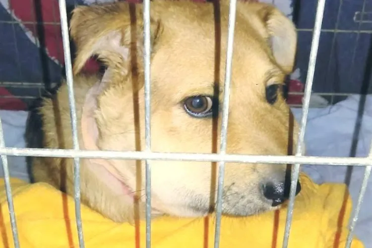 Povestea INDIFERENȚEI din Cluj, această metropolă ce rivalizează cu New York -ul - FOTO