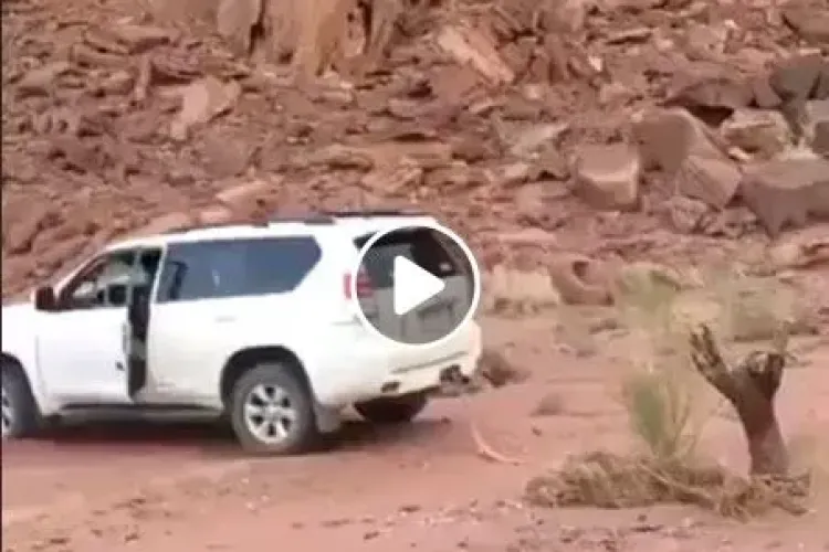 E, probabil, cel mai prost șofer din lume: Oare la ce se gândea? - VIDEO