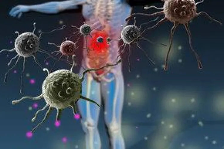 Ce alimentele îţi întăresc imunitatea