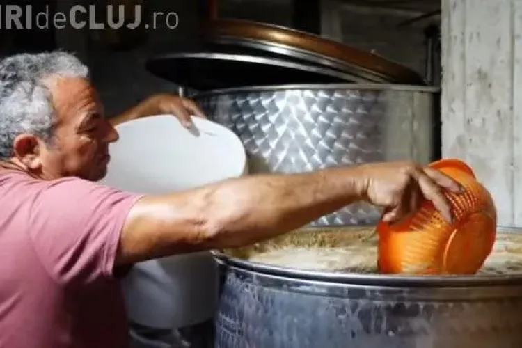 10 greșeli de evitat în obținerea vinului de casă din must de la Jidvei (P)