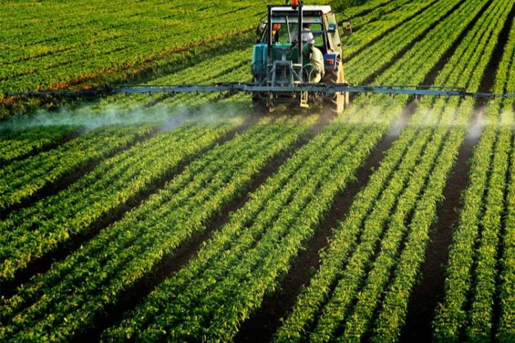 România, locul 5 în topul statelor UE cu cele mai mari vânzări de pesticide