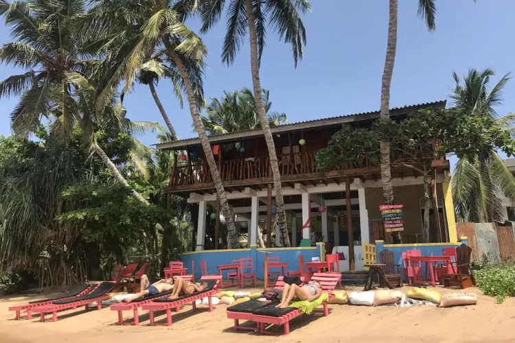 S-au îmbătat în luna de miere și au cumpărat hotelul în care erau cazați