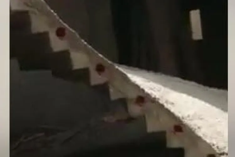 Ce-a mai făcut Dorel! A clădit scara invers - VIDEO