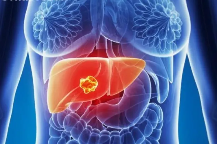 Simptome care indică probleme la ficat. Care sunt primele semne