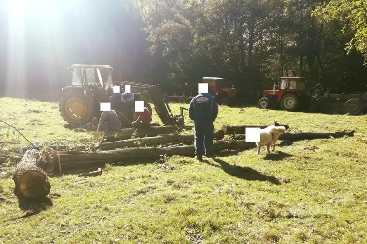 Imagine virală postată de Jandarmeria Sălaj - FOTO