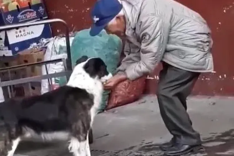 Bunătatea unui om simplu. E lecție pentru mulți dintre noi - VIDEO