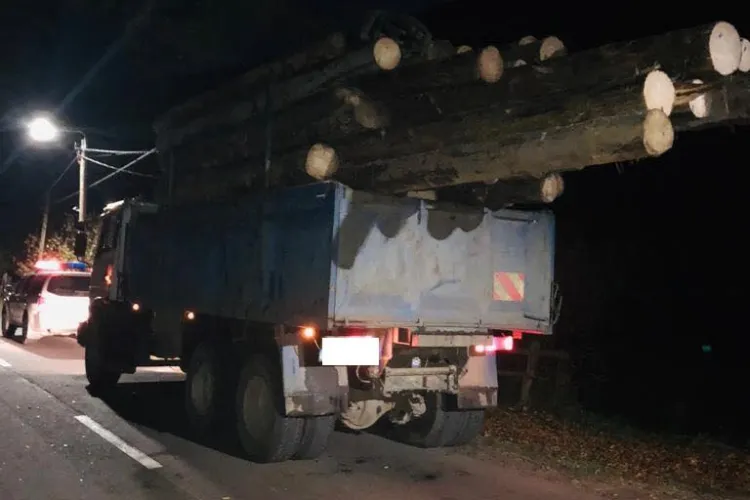 Lemn în valoare de câteva mii de lei confiscat de polițiștii clujeni, în urma unui control în trafic FOTO/VIDEO