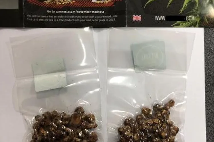 Clujean reținut de polițiști după ce și-a comandat droguri halucinogene de pe INTERNET. A fost prins în flagrant FOTO