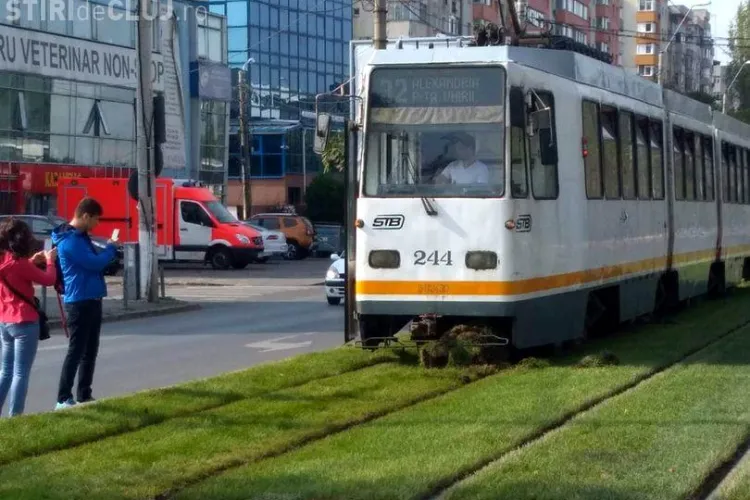 În Sectorul 5 din București s-a pus gazon între șinele de tramvai: ”Ajută la calmarea psihicului uman!”