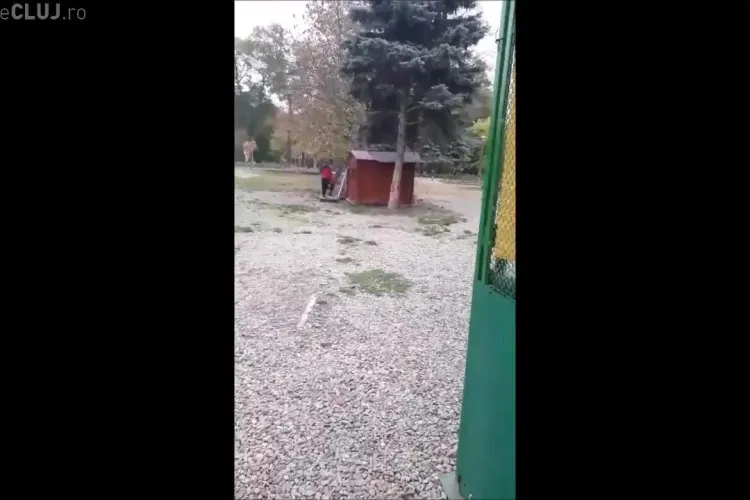 Cluj, Parcul Central: Elevi după ore spărgeau o gheretă pentru a fura produse - VIDEO