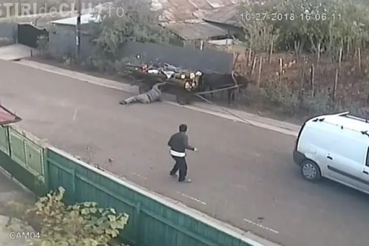 Viața la țară în România! Scene incredibile - VIDEO