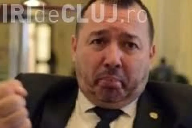 Discursul halucinant al unui parlamental PSD, împotriva UE: Când Brâncuși făcea statui, ei, pe la curțile regale inventau homosexualitatea VIDEO