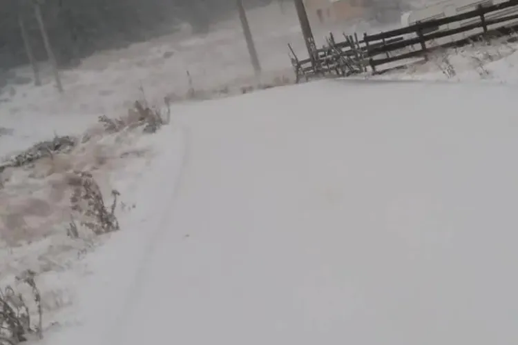 Încep ninsorile? Ce spun meteorologii de la ANM