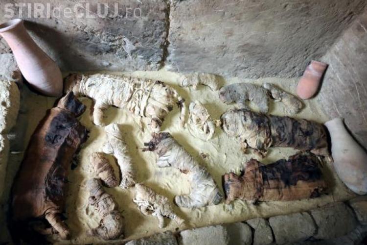Șapte morminte din timpul faraonilor, descoperite lângă Cairo. Surpriza arheologilor când le-au deschis