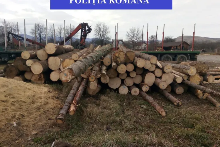 „Mafia” lemnelor la Cluj. Cum se fură camioane de copaci tăiați ilegal FOTO