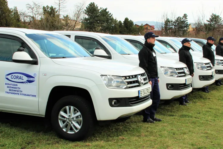 Cluj-Napoca: Acțiune de deratizare pe domeniul public