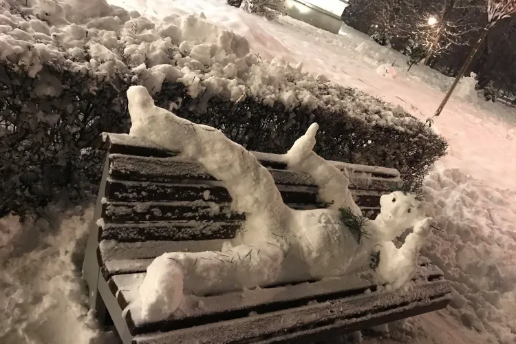 Parcul Central din Cluj, plin cu oameni de zăpadă. Iarnă superbă la Cluj - FOTO