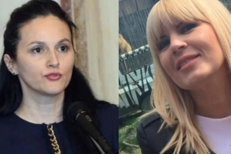 Corupții scapă de închisoare. Alina Bica, arestată în Costa Rica, scapă de pedeapsă