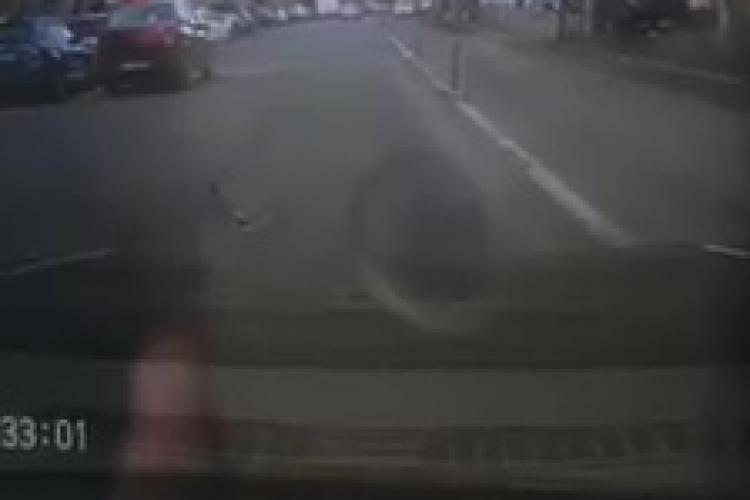 Rață sălbatică traversează strada pe Decebal. Șoferul oprește și cedează trecerea :) - VIDEO