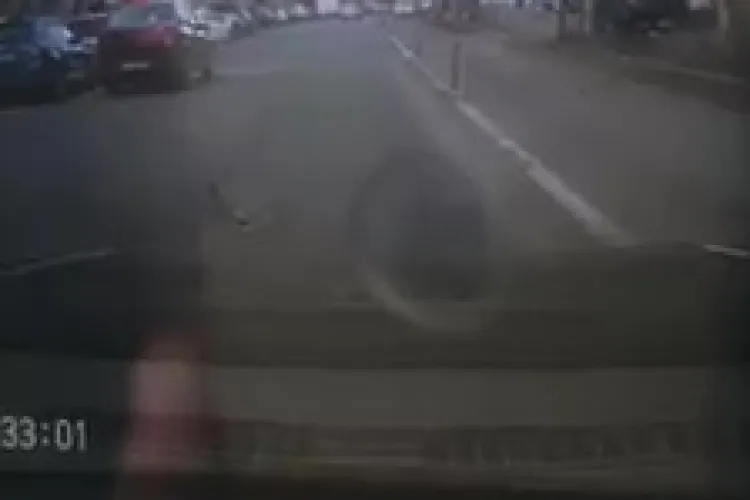 Rață sălbatică traversează strada pe Decebal. Șoferul oprește și cedează trecerea :) - VIDEO