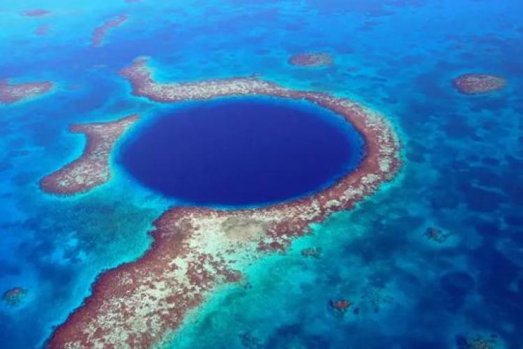 Ce au descoperit exploratorii pe fundul Marii Găuri Albastre din Belize - VIDEO