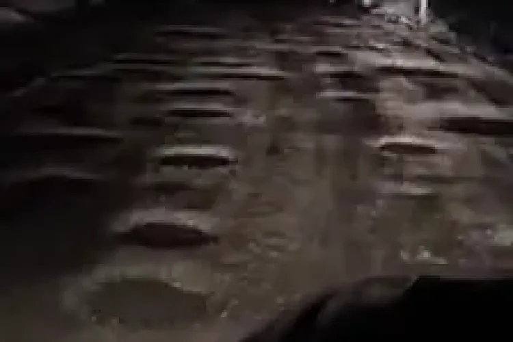 Drum în Feldioara, comuna Cătina, ianuarie 2019. Rușine să le fie autorităților - VIDEO