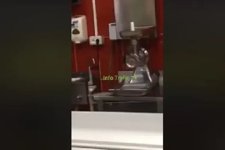 CLUJ: Păsările zboară pe lângă raionul cu carne într-un supermarket din Dej VIDEO