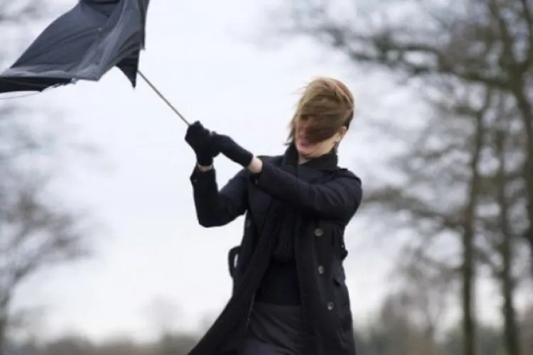 Clujul sub cod galben de vânt puternic! Ce localități sunt afectate