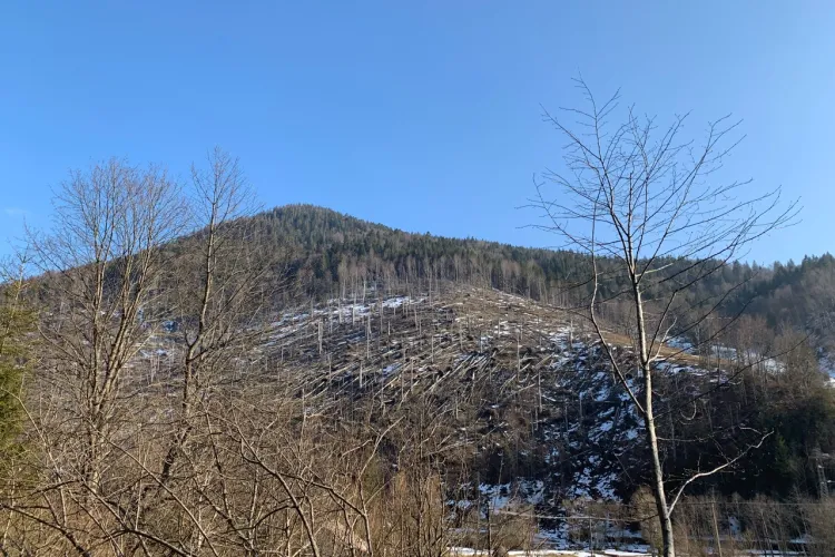 Imagini apocaliptice din zona Tranișu-Valea Draganului, lângă barajul de acumulare Floroiu - FOTO