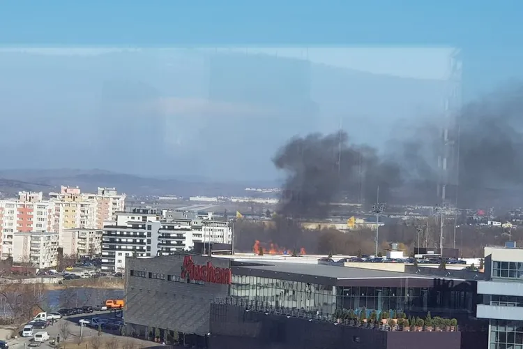 Incendiu lângă Iulius Mall Cluj! Arde stuful - FOTO