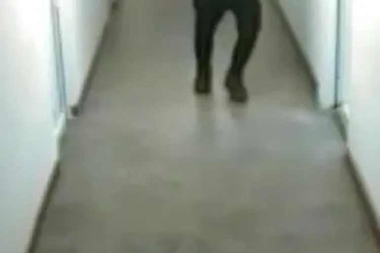 Polițiștii caută un hoț de genți care acționa pe Piezișă. Îl recunoașteți? FOTO