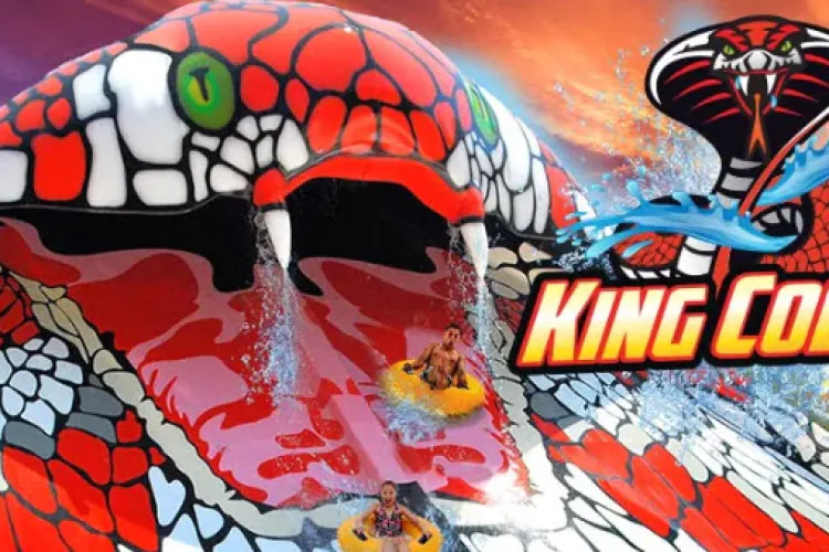 Scandal la votarea Aqua Parkului din Gheorgheni. Biletul de acces ar fi de 75 de lei - VIDEO