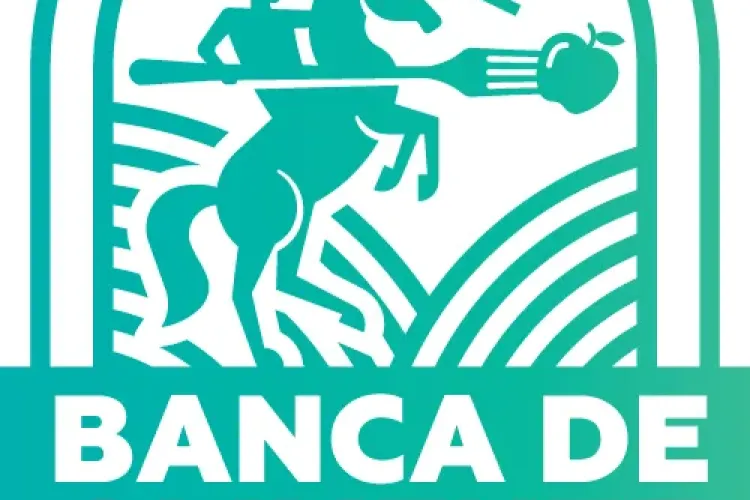 Tone de mâncare salvate la Cluj cu ajutorul Băncii de Alimente. Cum se poate dona