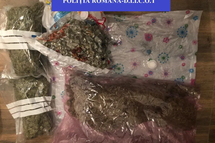 Polițiștii clujeni au confiscat peste 4 kilograme de cannabis și alte droguri de la un ”dealer” de 22 de ani FOTO