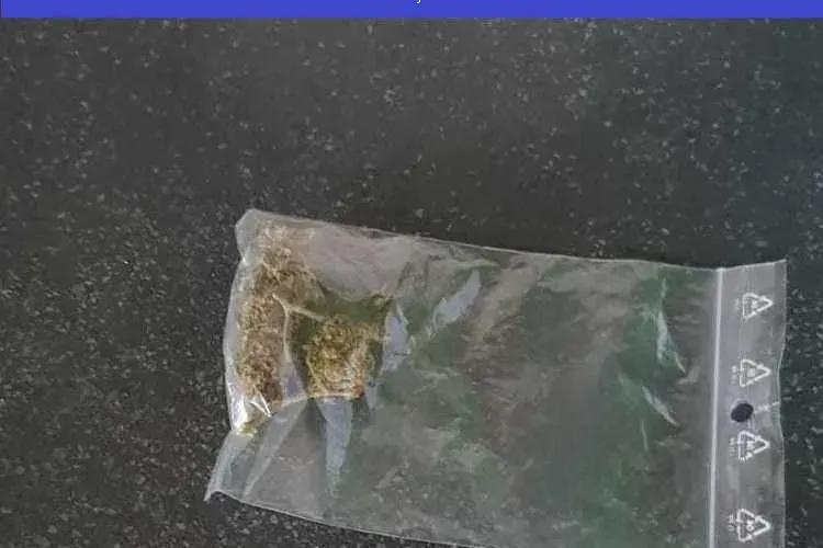 Cum aducea droguri în România un dealer ”antreprenor”. Avea și propria firmă de transport FOTO