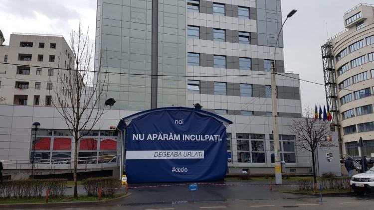 WhatsApp Image 2019-03-19 at 15.17.49.jpeg