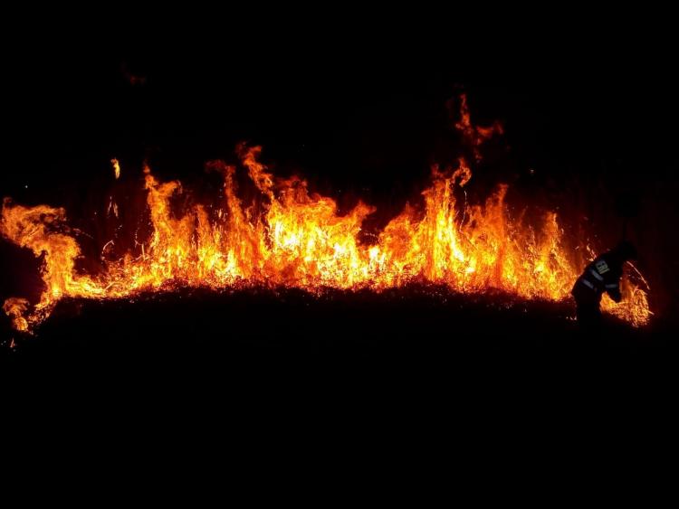 WhatsApp Image 2019-03-26 at 23.02.48.jpeg